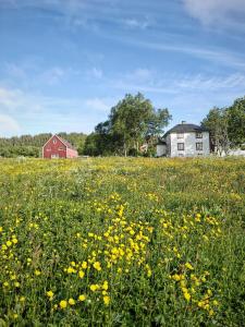 2 Houses and A Barn