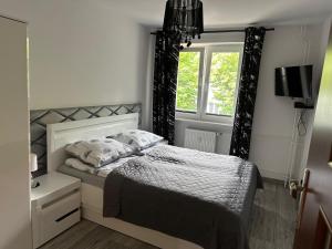 Apartament Słowiańska by Zilla
