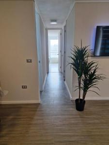 Arriendo depto en La Serena condominio Firenze