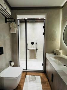 Luxury Apt in Mohandessin