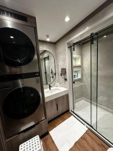 Luxury Apt in Mohandessin