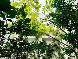 Casa Mariana, stylish, spacious, few blocks from Condesa y Polanco