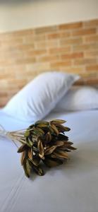 Um lugar de charme e aconchego - Rosa!