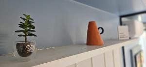 Um lugar de charme e aconchego - Rosa!