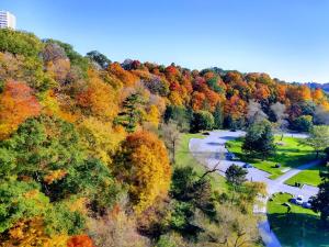 Modern Studio Oasis with High End Amenities