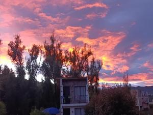 Habitaciones campestres 202