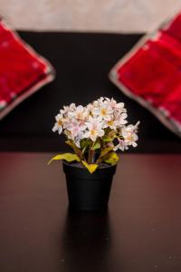 The Greenbelt Groove 1BR Makati 300MB swim gym park 4034