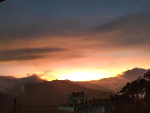 Cloudy larch homestay