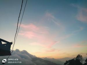 Cloudy larch homestay