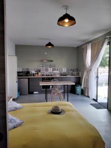 Maisons de vacances L Essentiel Studio climatise A pied Riviere, Marche,Voie Verte : photos des chambres