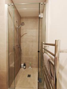 Fancy stylish and new