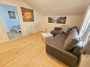 Old Town Modern Charm Apartment