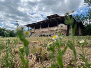 Brvnara "Duboki Potok"