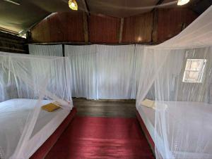 Setha About The World Homestay & Scooter