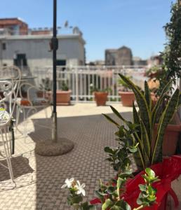 Domus Lavica by Sicily in Home