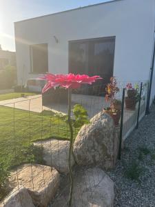 Maison INDEPENDANTE entre mer et montagne