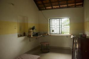 Roots and rambutan gokarna