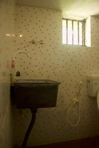 Roots and rambutan gokarna