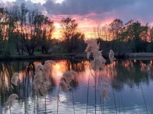 ARK Village Liberland