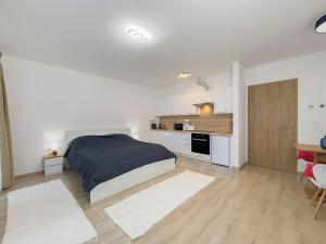 Danube river flat with balcony,free garage