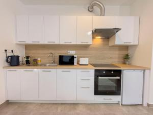 Danube river flat with balcony,free garage