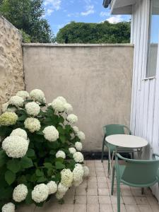 Appartements La SUITE des AUGUSTINS : photos des chambres