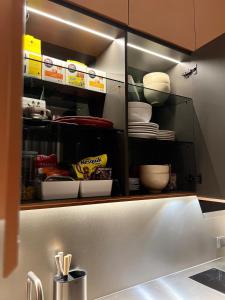 Design apartment with view to Nemunas, Prienai