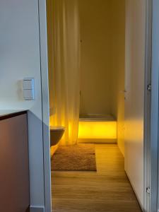 Design apartment with view to Nemunas, Prienai