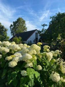 De Beijersche Stee , Landhuysje