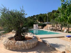 NEW piscina coppa di fuoco