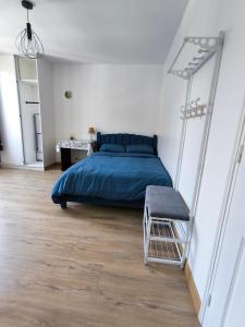 Appartements Grand studio lumineux : Appartement 1 Chambre