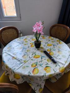 Grand studio lumineux