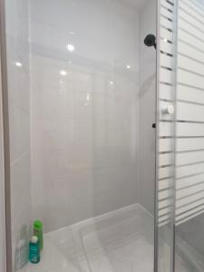 Appartements Grand studio lumineux : photos des chambres