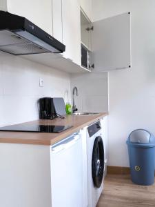 Appartements Grand studio lumineux : photos des chambres