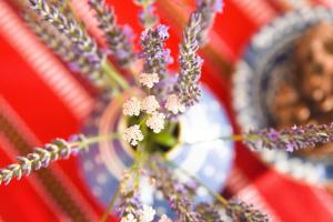 Talblick 2 - Ihr Ferienhaus mitten im idyllischen Tal