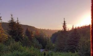 Talblick 2 - Ihr Ferienhaus mitten im idyllischen Tal