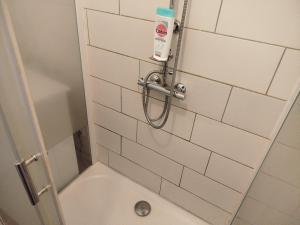 Appartements Romane et Rose - Ideal PROS : photos des chambres