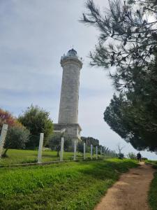 Apartment Studio Zvonka