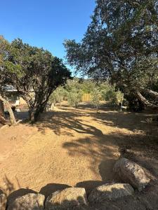 B&B / Chambres d'hotes Les chambres Toussaint : photos des chambres