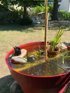 Appartements Bel appartement avec jardin : photos des chambres