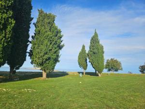 Apartment Studio Zvonka