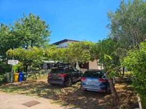 Apartment Studio Zvonka