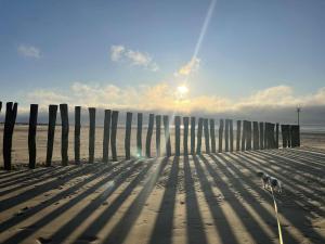 Maisons d'hotes L-ecorce marine : photos des chambres