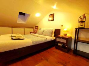 Atypical forest house with jacuzzi