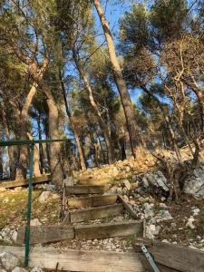 Maisons de vacances Atypical forest house with jacuzzi : photos des chambres