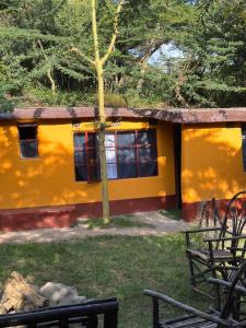 Bookup 5 bedroom house with a pool ngong