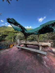 Bookup 5 bedroom house with a pool ngong