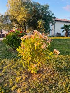 Villas Luxury home private duras : photos des chambres