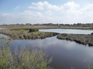 Classé 3 étoiles à 200m du Bassin d Arcachon avec 2 VTT à disposition
