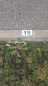 Le Marin - Pool and parking